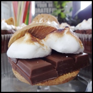 s'mores 2